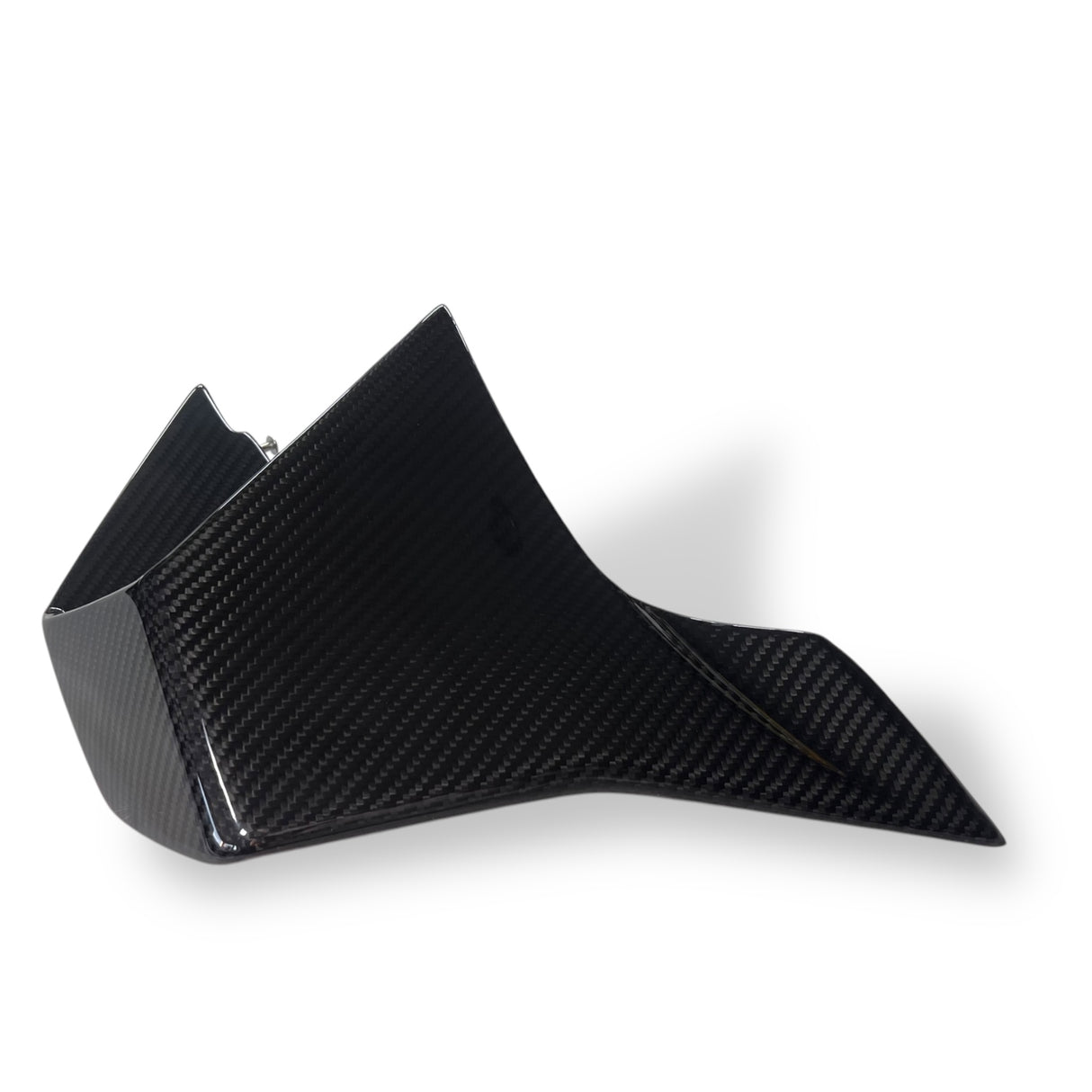 Winglets Carbon BMW M1000RR 2023+ K67 left+right Set