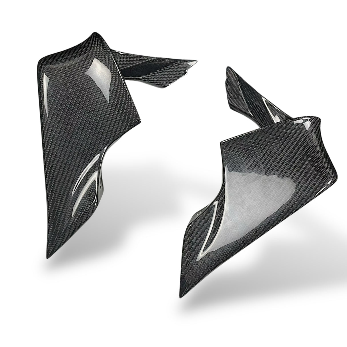 Winglets Carbon BMW M1000RR 2025+