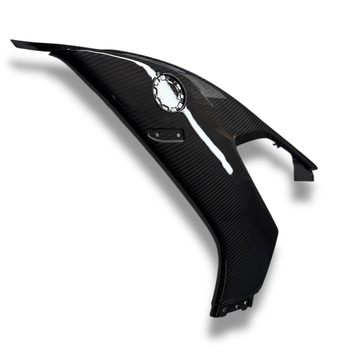Side Panel Set L+R Carbon BMW M1000RR 2023+