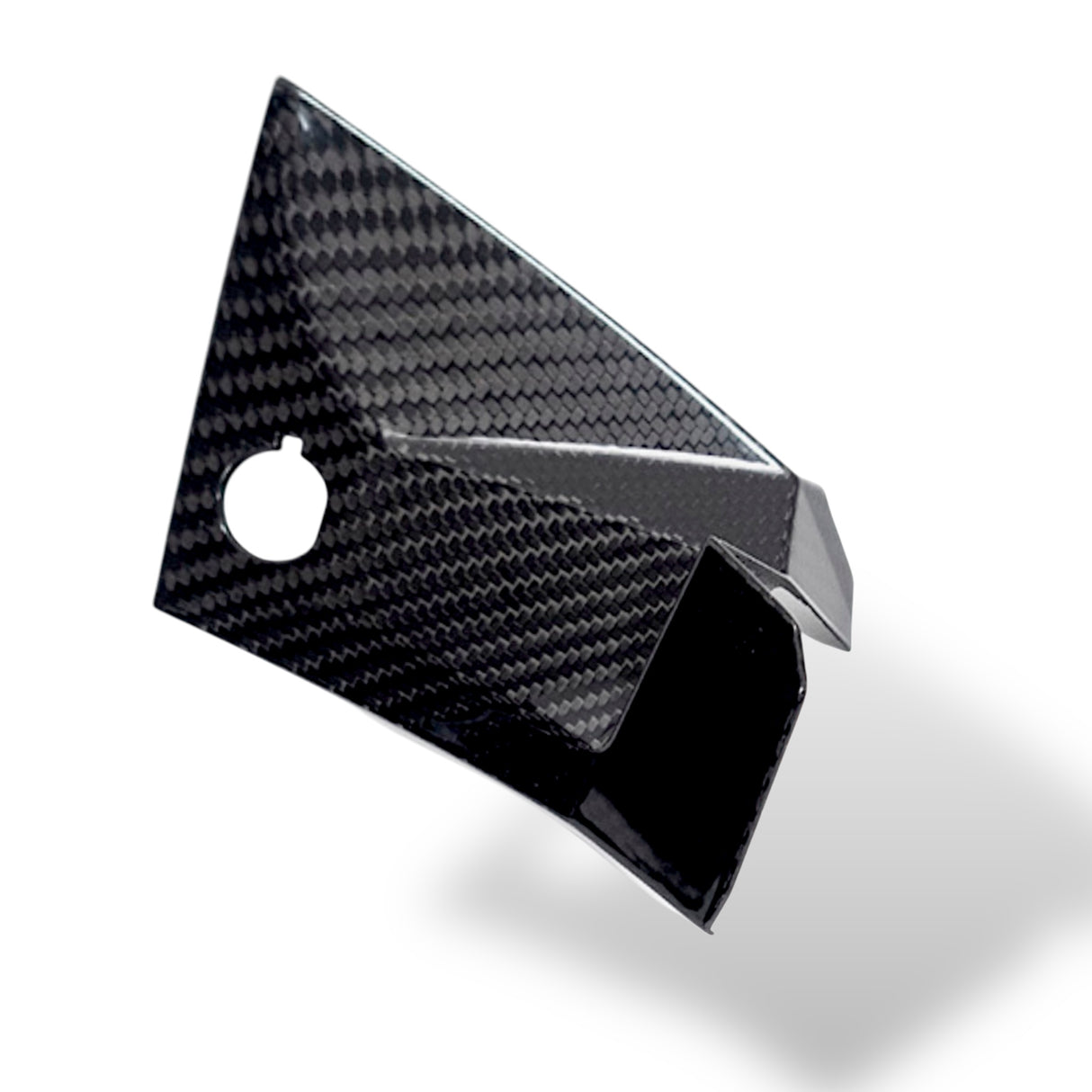 Swingarm protector Carbon BMW S1000RR M1000RR 2019-2024 / BMW S1000R 2021-2024