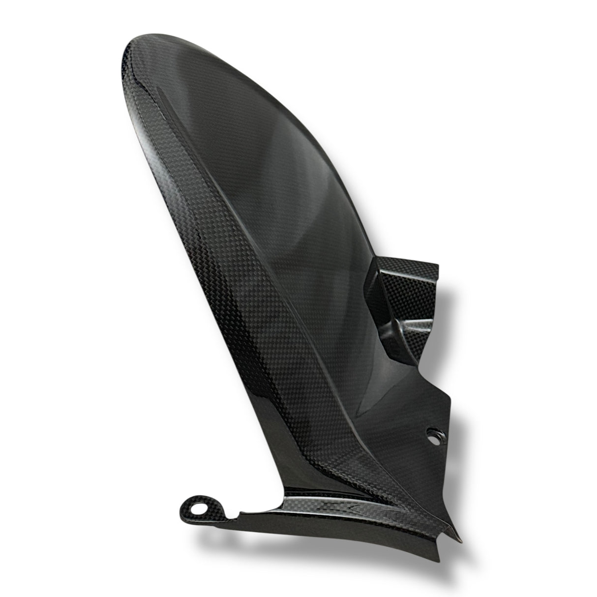 Hinterradabdeckung Carbon Ducati Multistrada V4