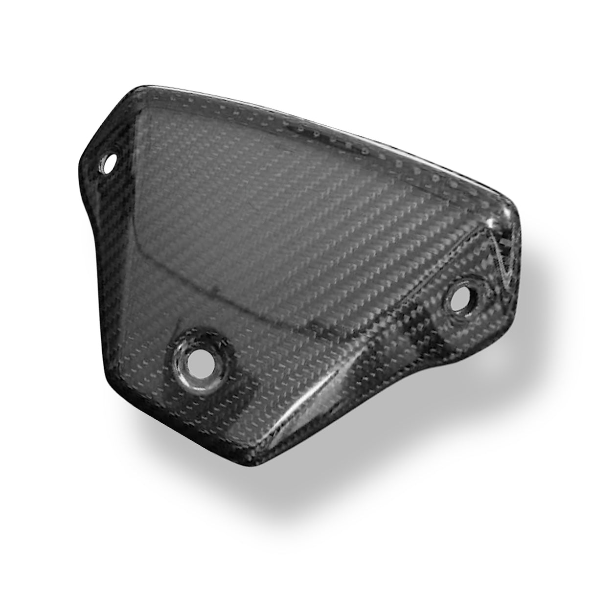 Windschild Cover Carbon Paar BMW S1000R M1000R 2021-2025