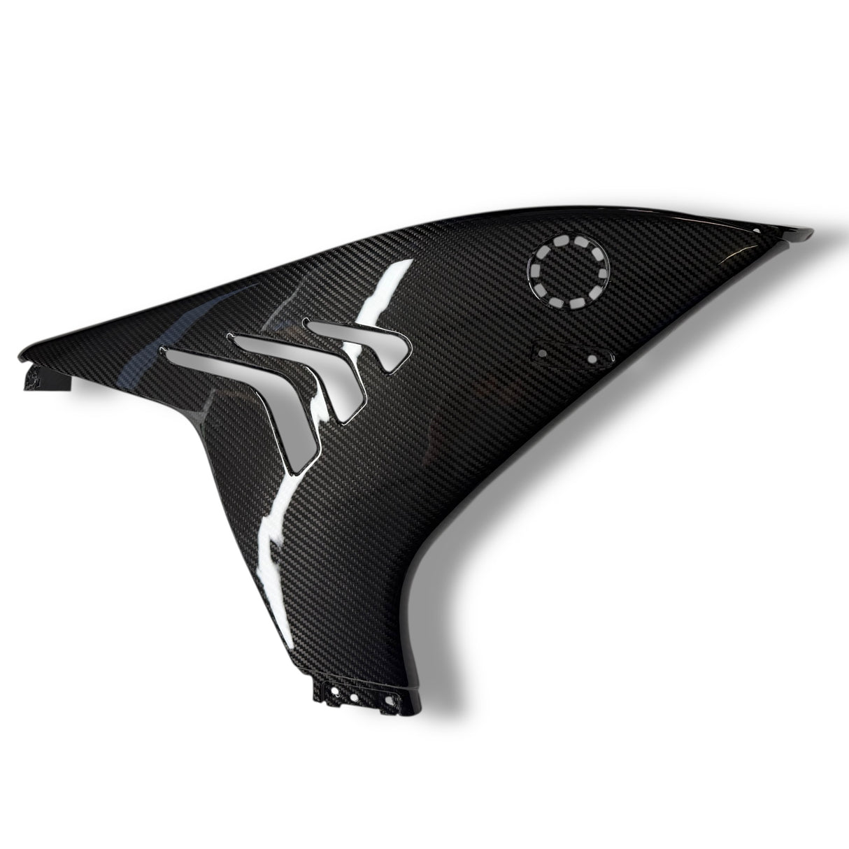 Side Panel Set L+R Carbon BMW M1000RR 2023+