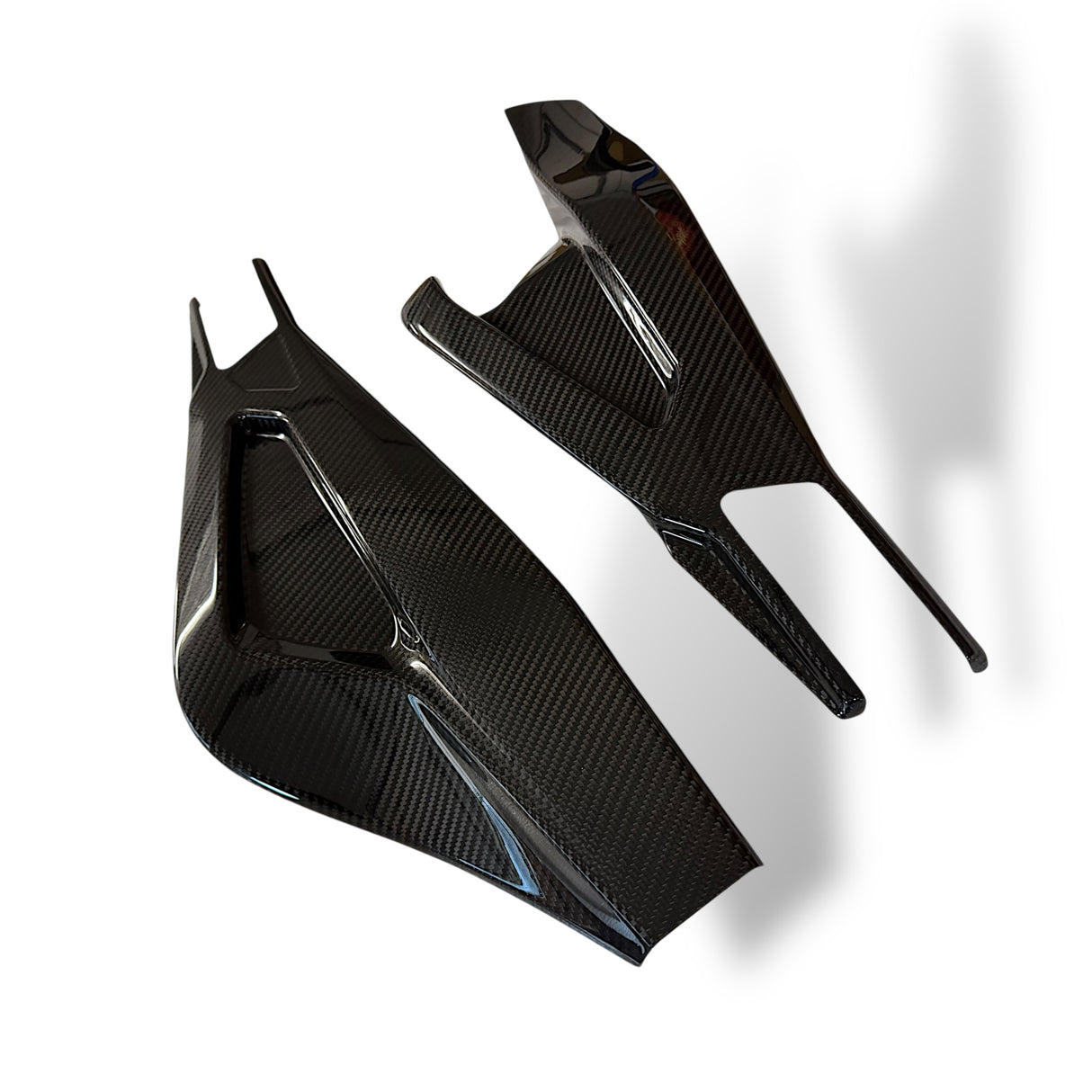 Swingarm protector Carbon BMW S1000RR M1000RR 2019-2024 / BMW S1000R 2021-2024