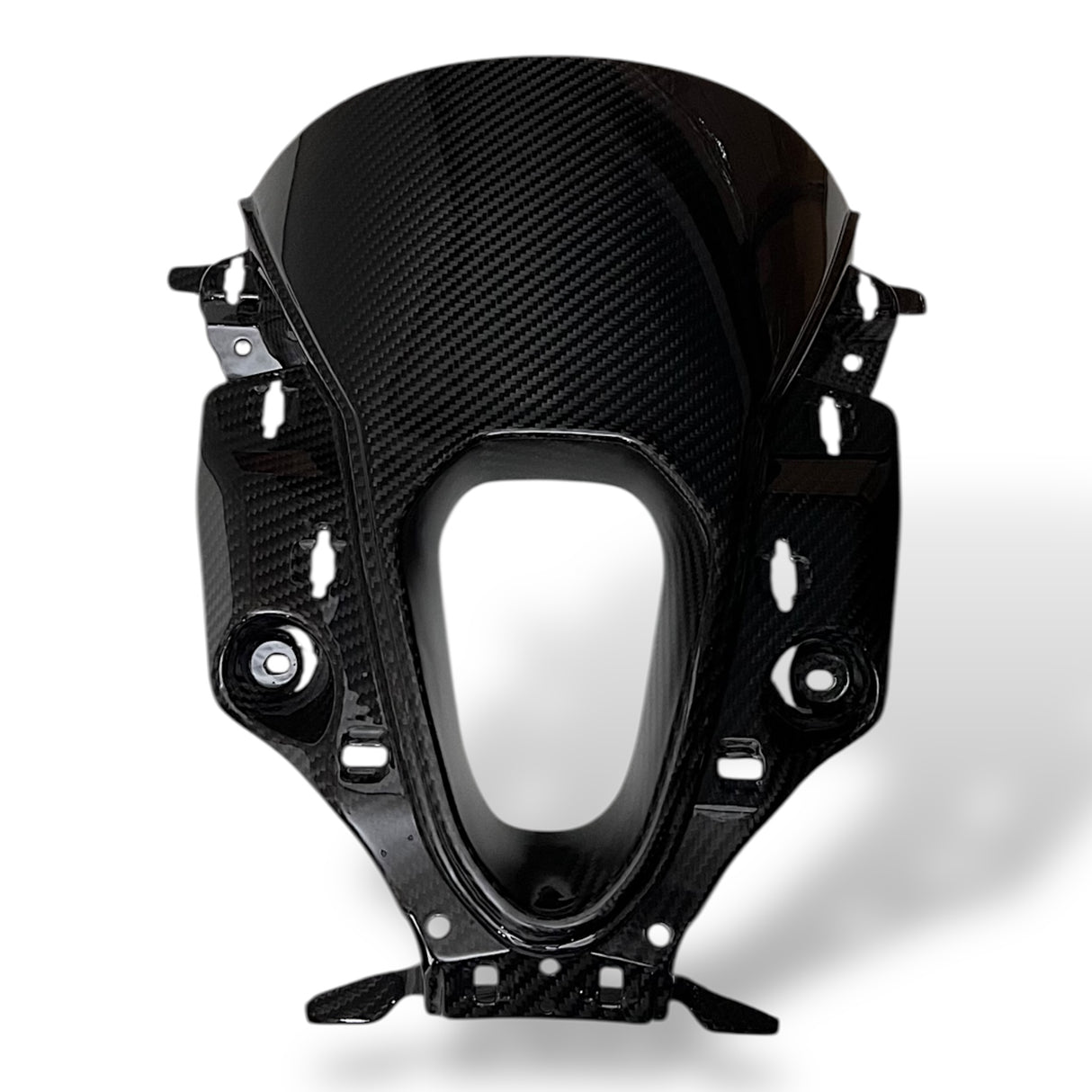 Verkleidungsmittelteil Frontverkleidung Lufteinlass Carbon BMW M1000RR 2023+