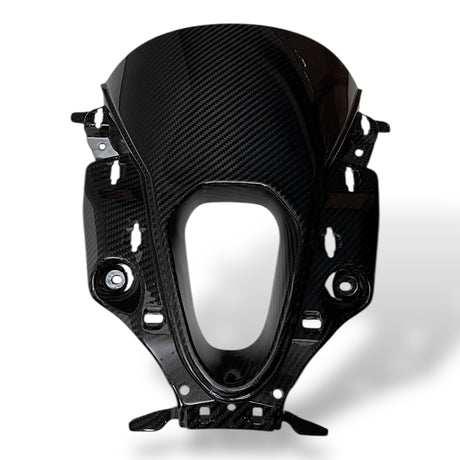 Fairing center section air intake carbon BMW S1000RR M1000RR 2019-2024