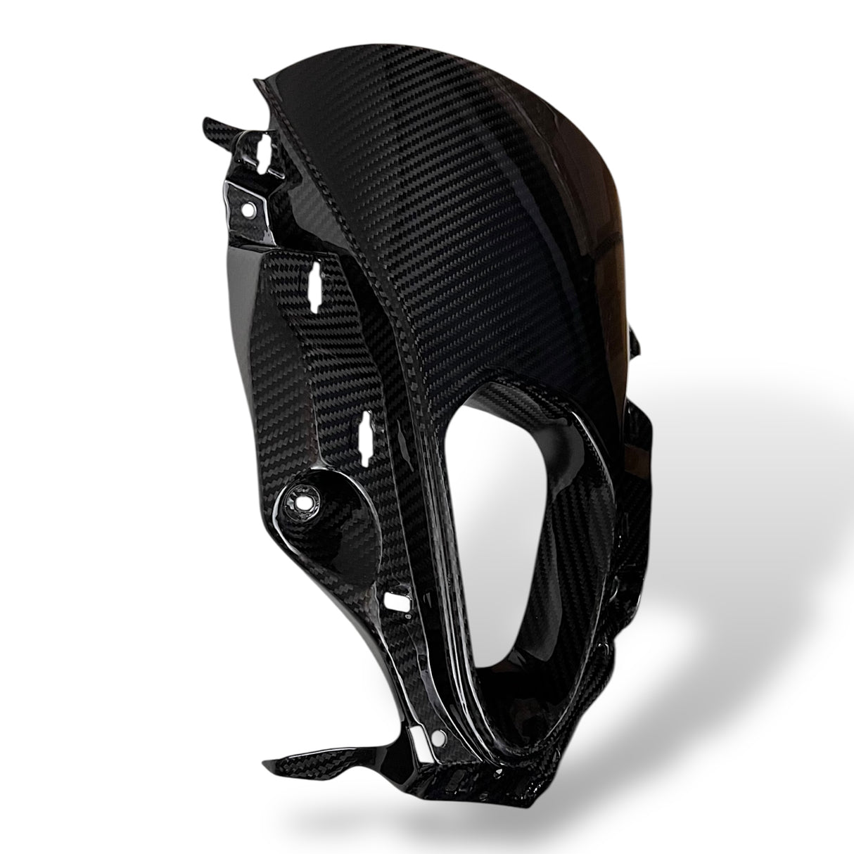 Verkleidungsmittelteil Frontverkleidung Lufteinlass Carbon BMW M1000RR 2023+