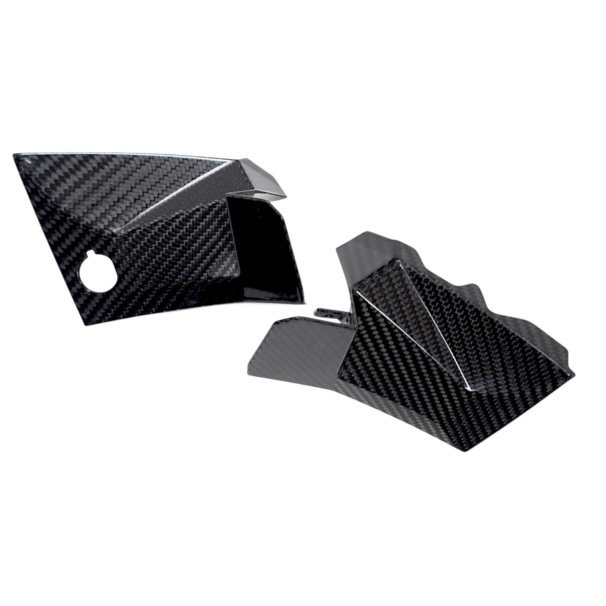 Swingarm protector Carbon BMW S1000RR M1000RR 2019-2024 / BMW S1000R 2021-2024