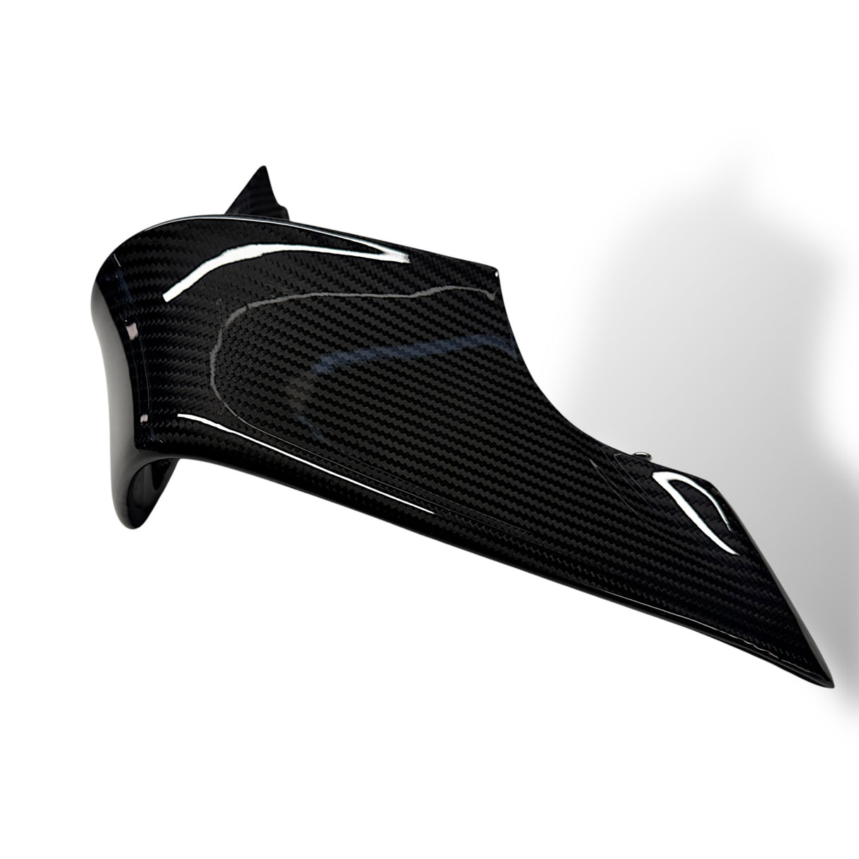 Winglets Carbon BMW M1000RR 2025+