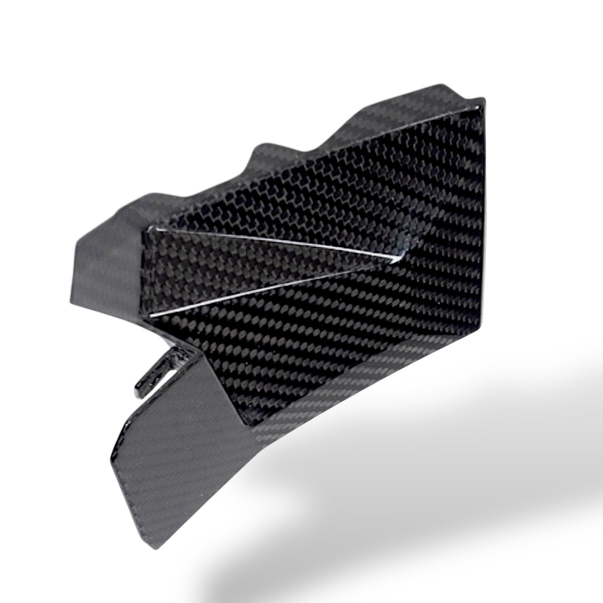 Swingarm protector Carbon BMW S1000RR M1000RR 2019-2024 / BMW S1000R 2021-2024