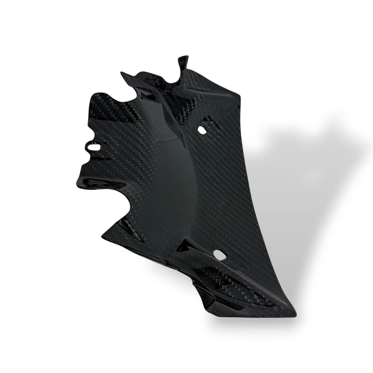 Frontverkleidung unter Luftkanal Carbon BMW S1000RR 2025+