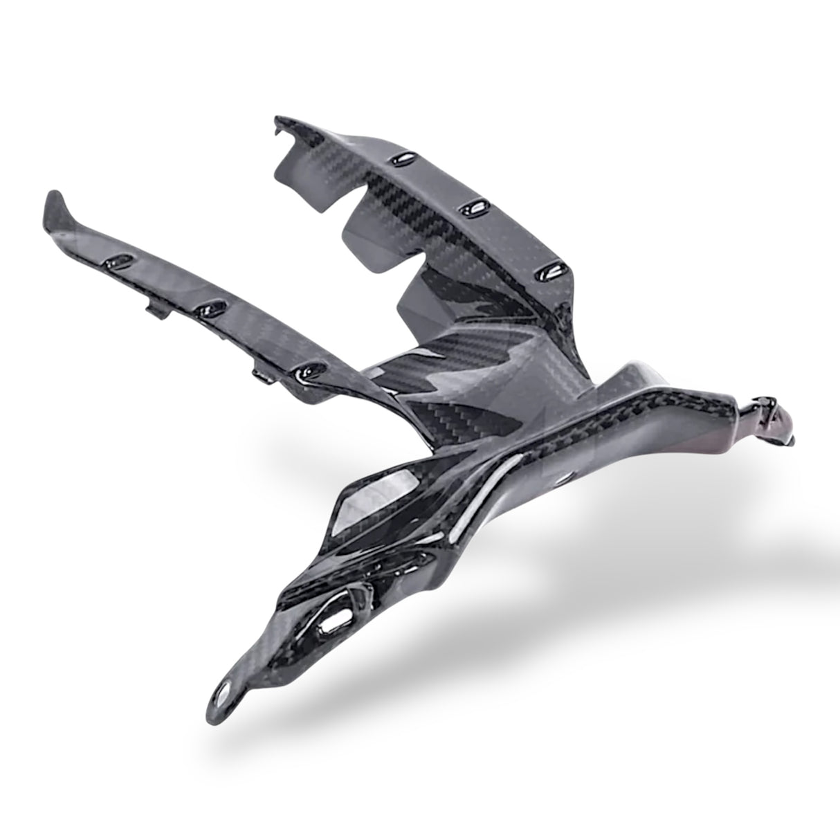 Verkleidungsmittelteil Frontverkleidung Lufteinlass Carbon BMW S1000RR 2025+