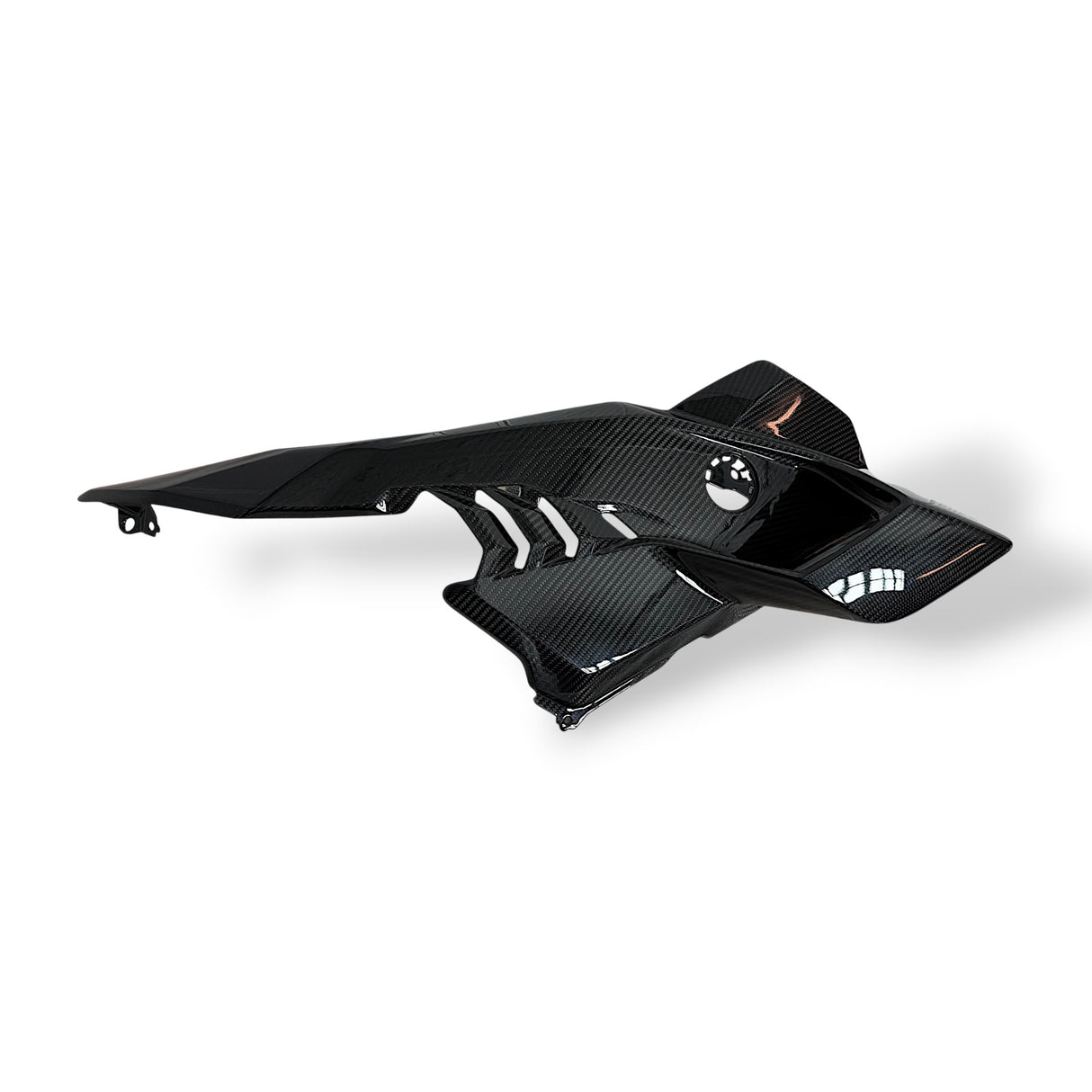Seitenverkleidung ink. Winglets Carbon BMW S1000RR 2025+