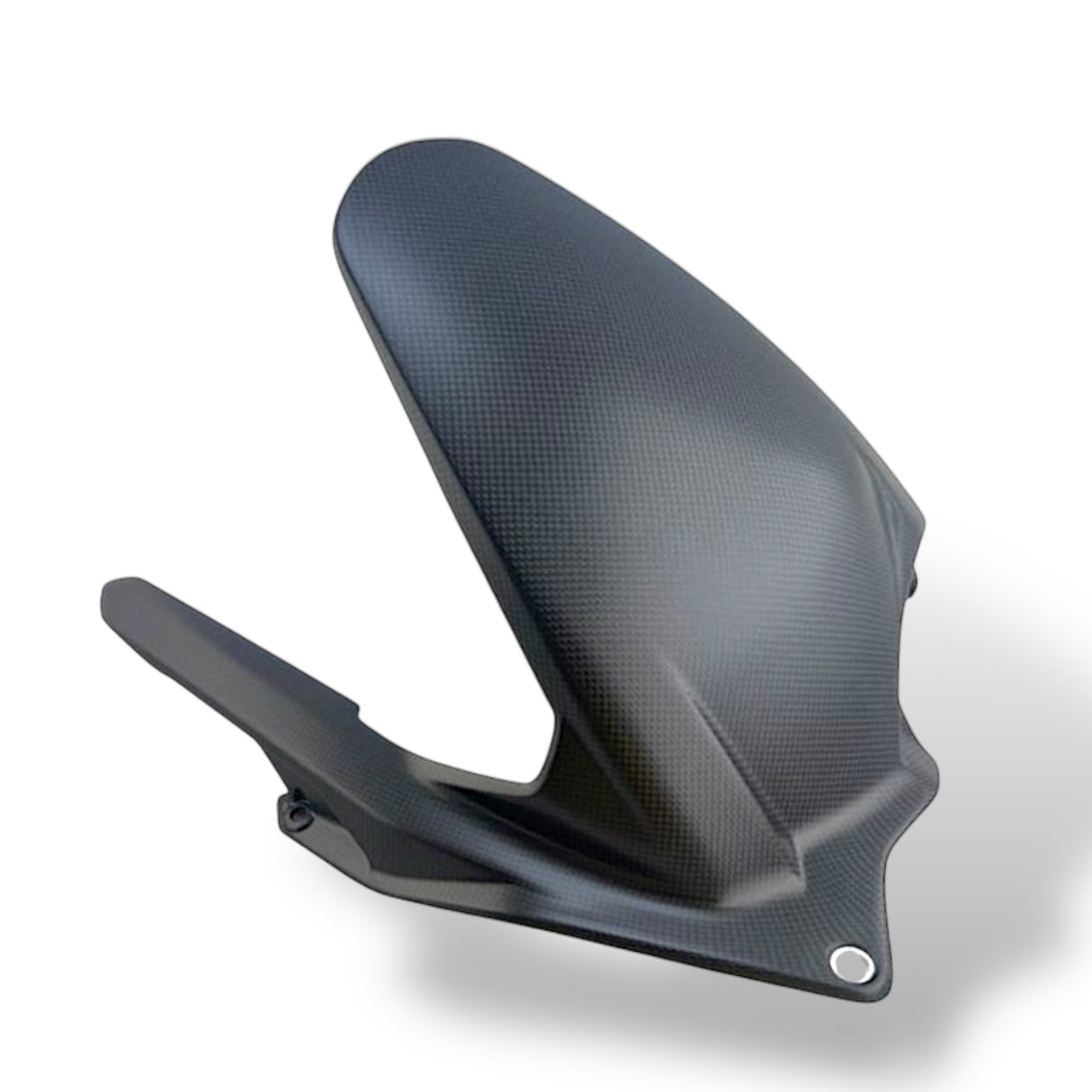 Hinterradabdeckung+Kettenschutz Carbon Ducati Panigale V4 Streetfighter V4 2025+