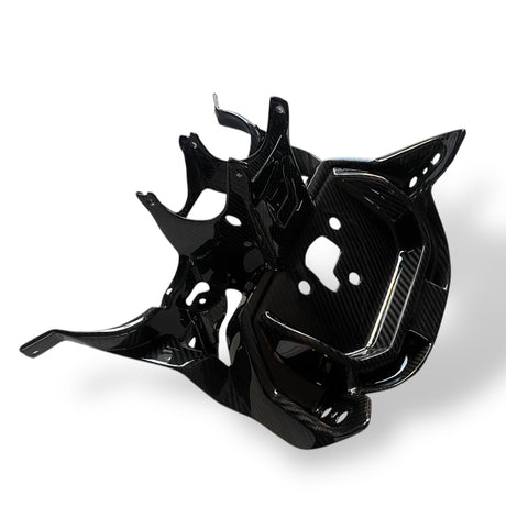 Geweihträger Verkleidungshalter Carbon BMW M1000RR 2023+