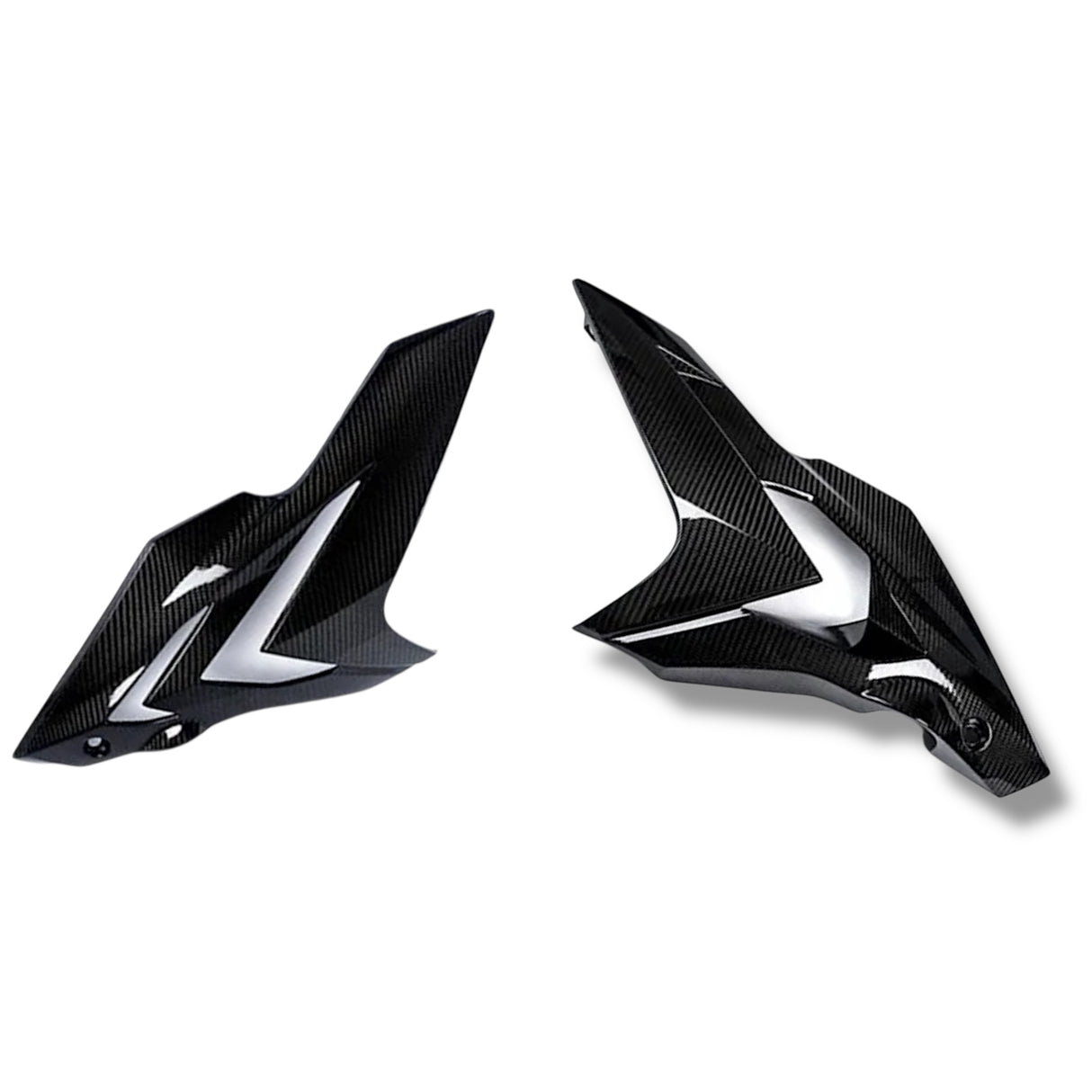 Side panel carbon BMW S1000RR M1000RR 2019-2022 Racing