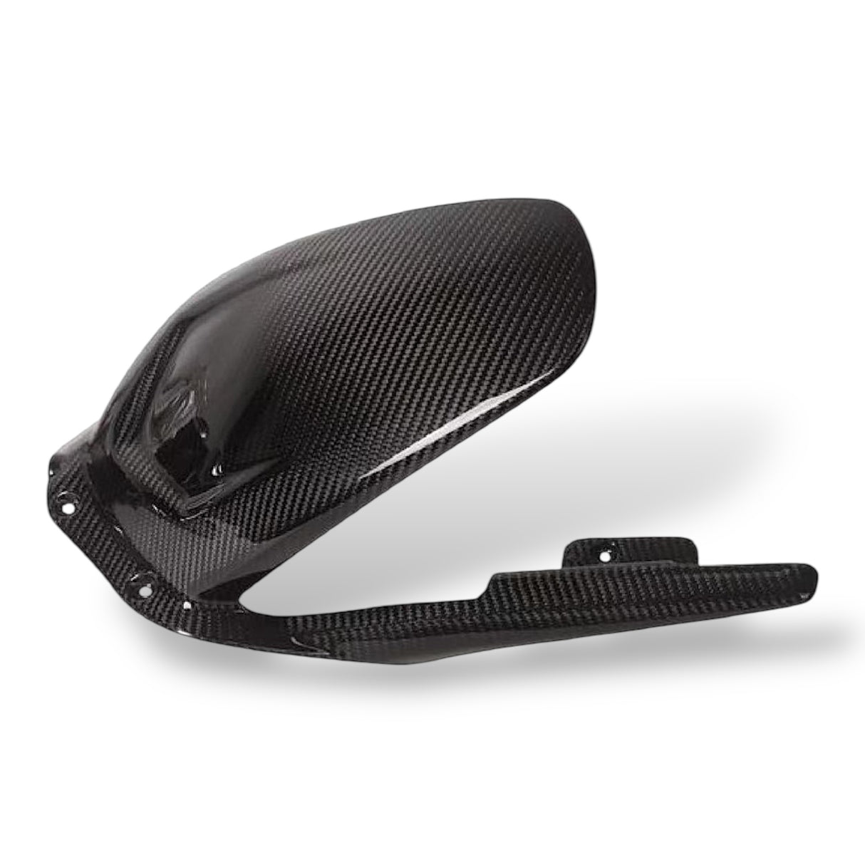 Rear wheel cover+chain guard Carbon Ducati Panigale V4 Streetfighter V4