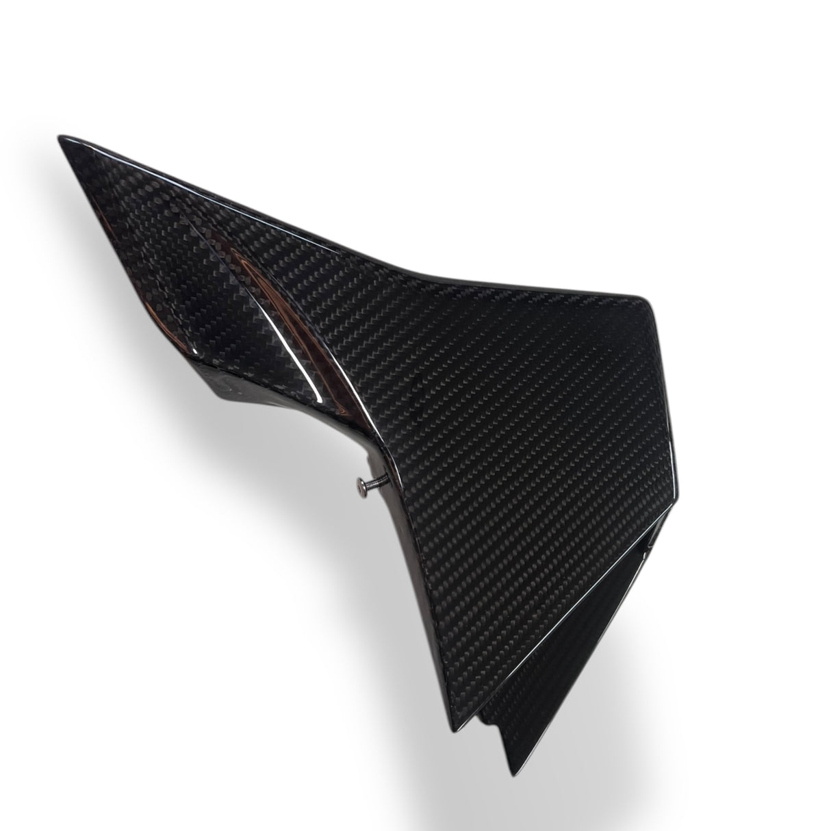 Winglets Carbon BMW M1000RR 2023+ K67 left+right Set