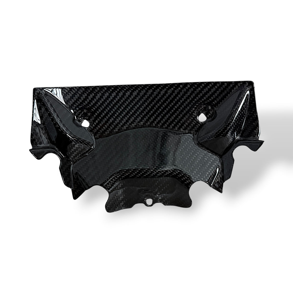 Frontverkleidung unter Luftkanal Carbon BMW S1000RR 2025+