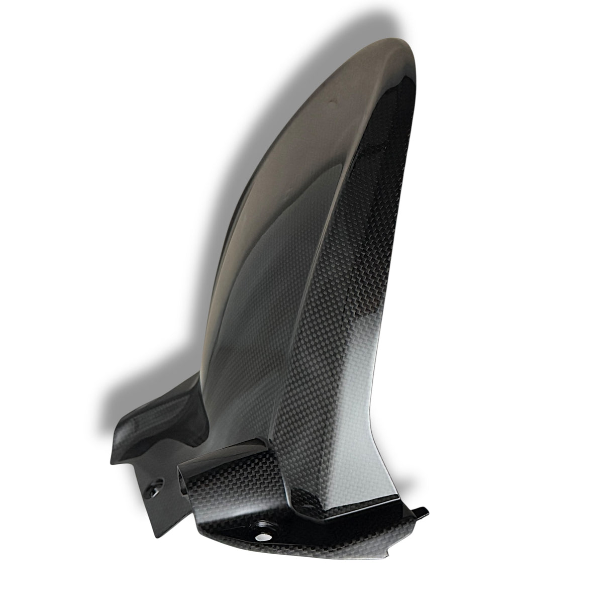 Hinterradabdeckung Carbon Ducati Multistrada V4