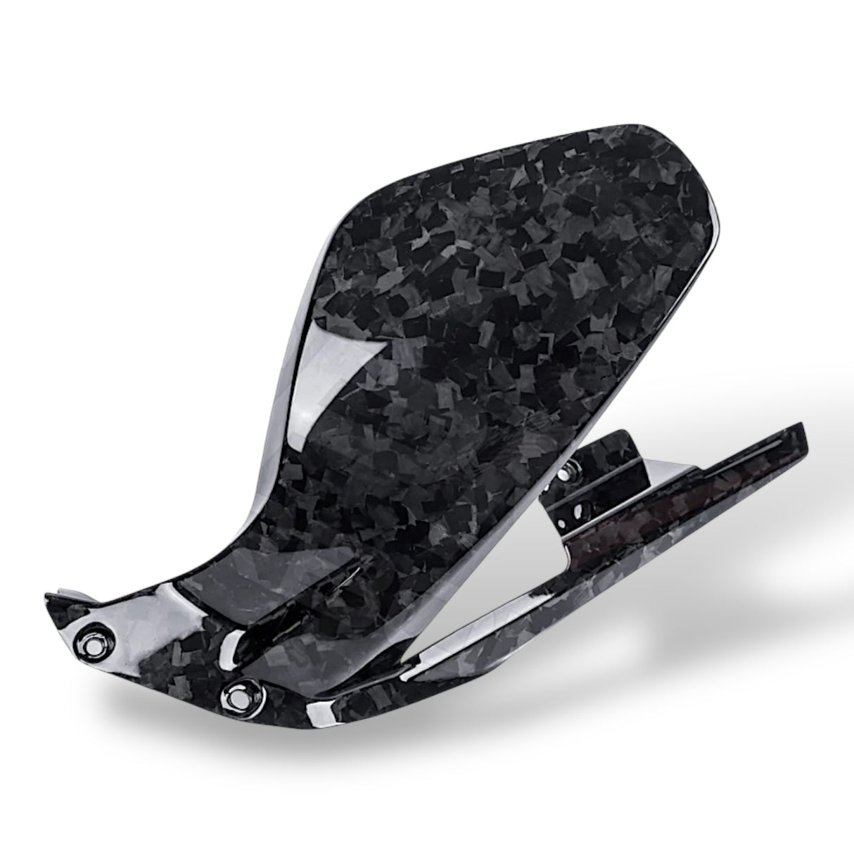 Rear wheel cover+chain guard Carbon Ducati Panigale V4 Streetfighter V4