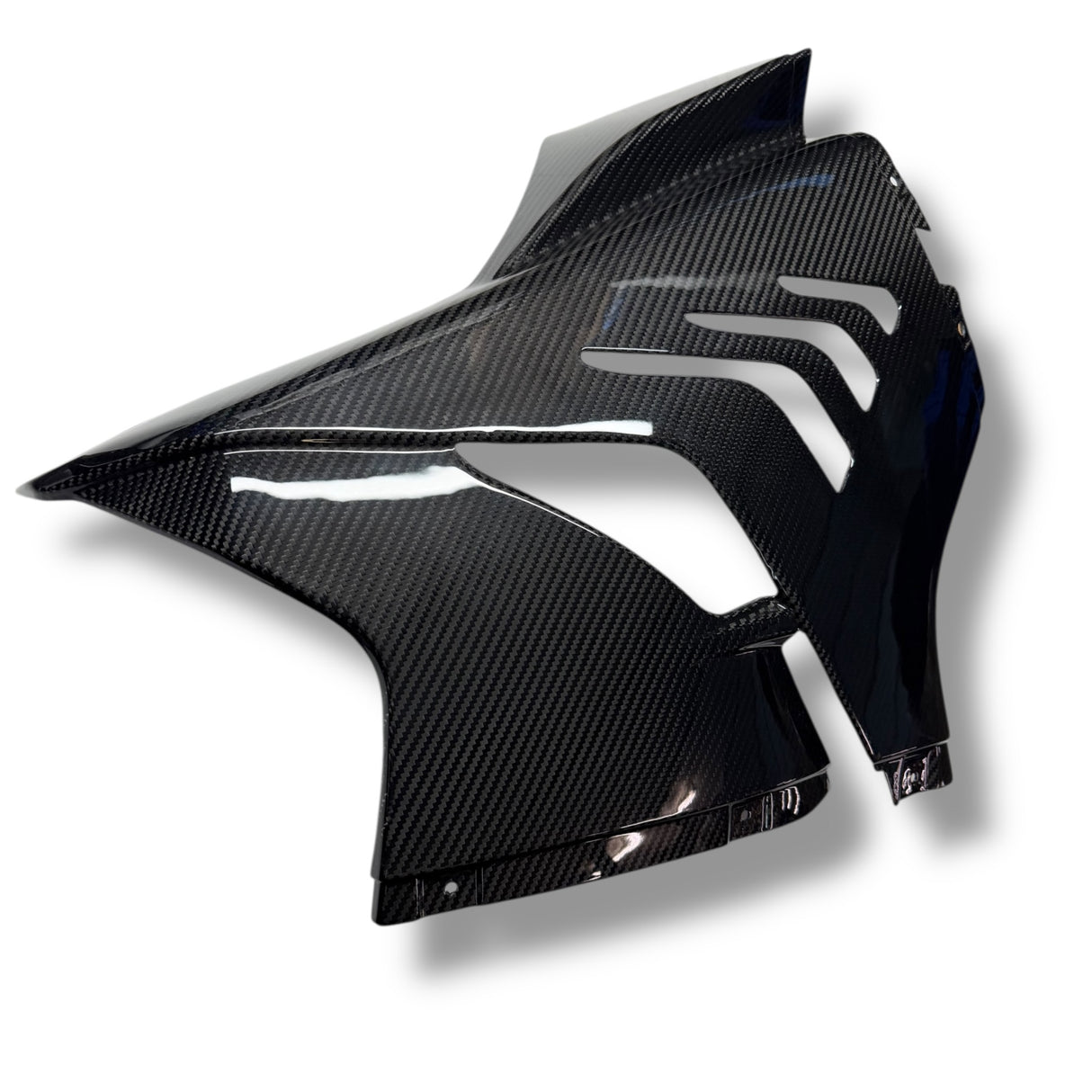 Rennverkleidung Verkleidungsseitenteil Seitenverkleidung Carbon BMW S1000RR M1000RR 2023+ Racing