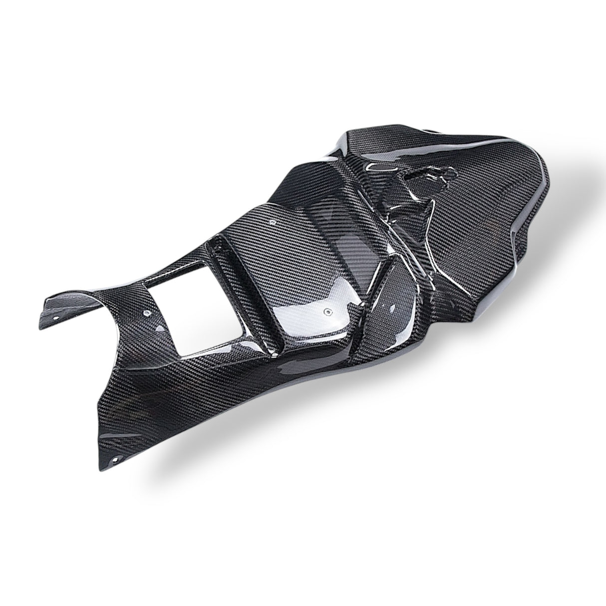 Rennverkleidung Heckverkleidung Carbon BMW S1000RR M1000RR 2023+ Racing