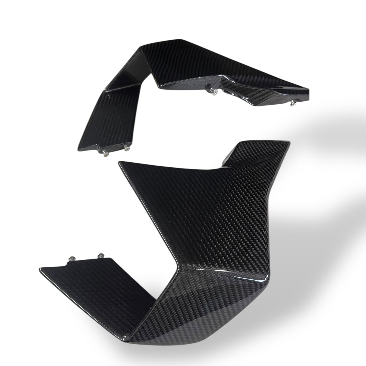 Winglets Carbon BMW M1000RR 2023+ K67 left+right Set