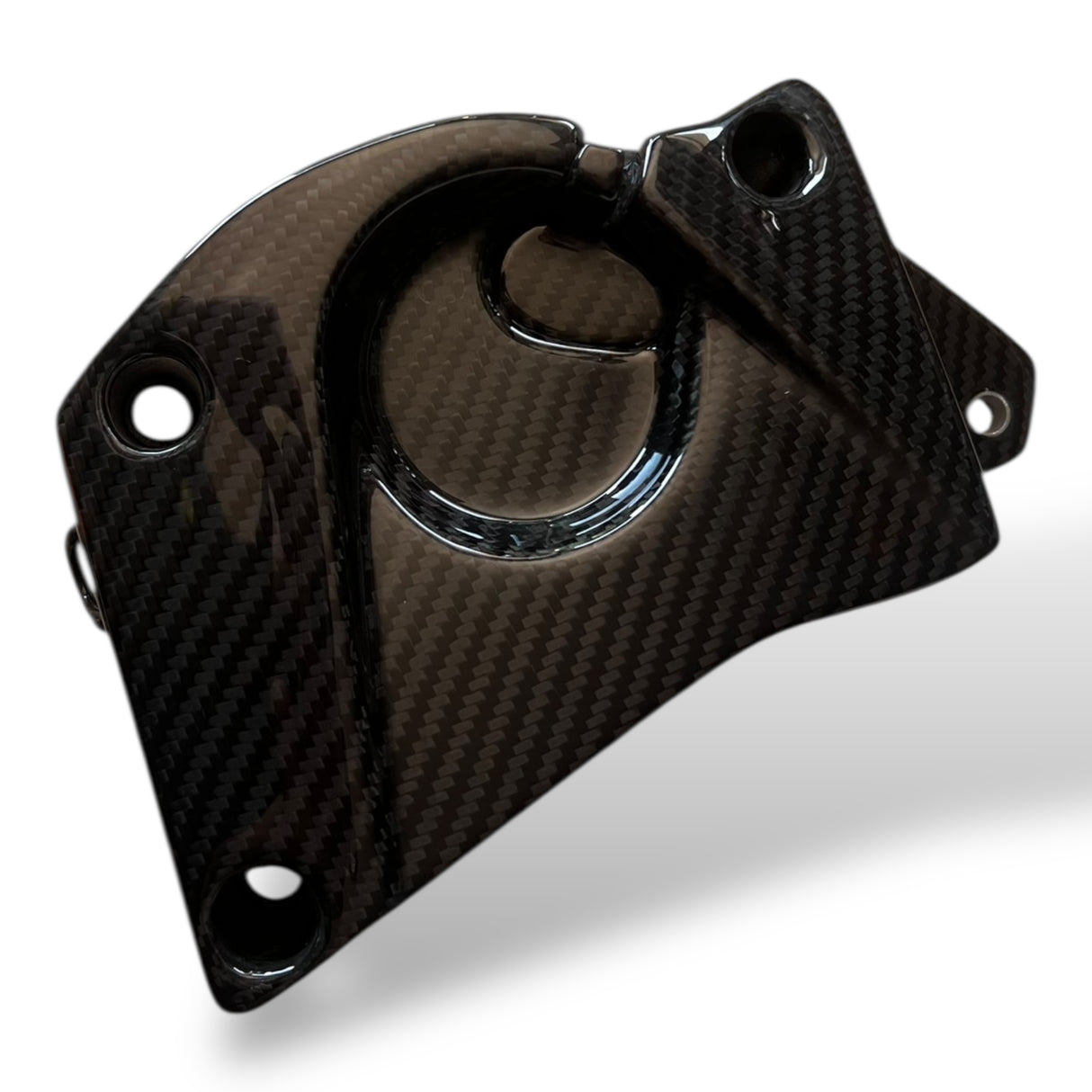 Ritzelabdeckung Carbon BMW S1000RR S1000R 2009-2014