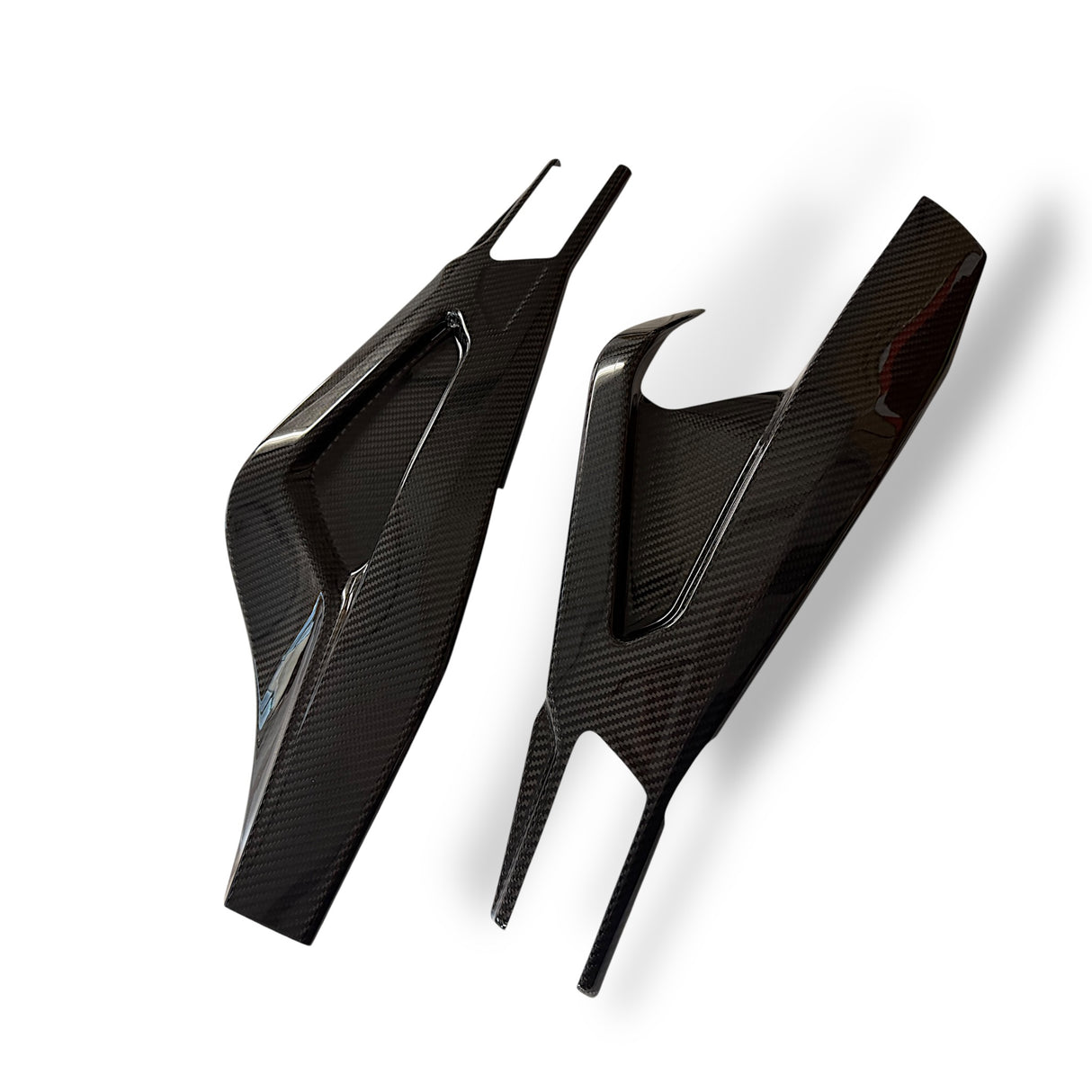 Swingarm protector Carbon BMW S1000RR M1000RR 2019-2024 / BMW S1000R 2021-2024