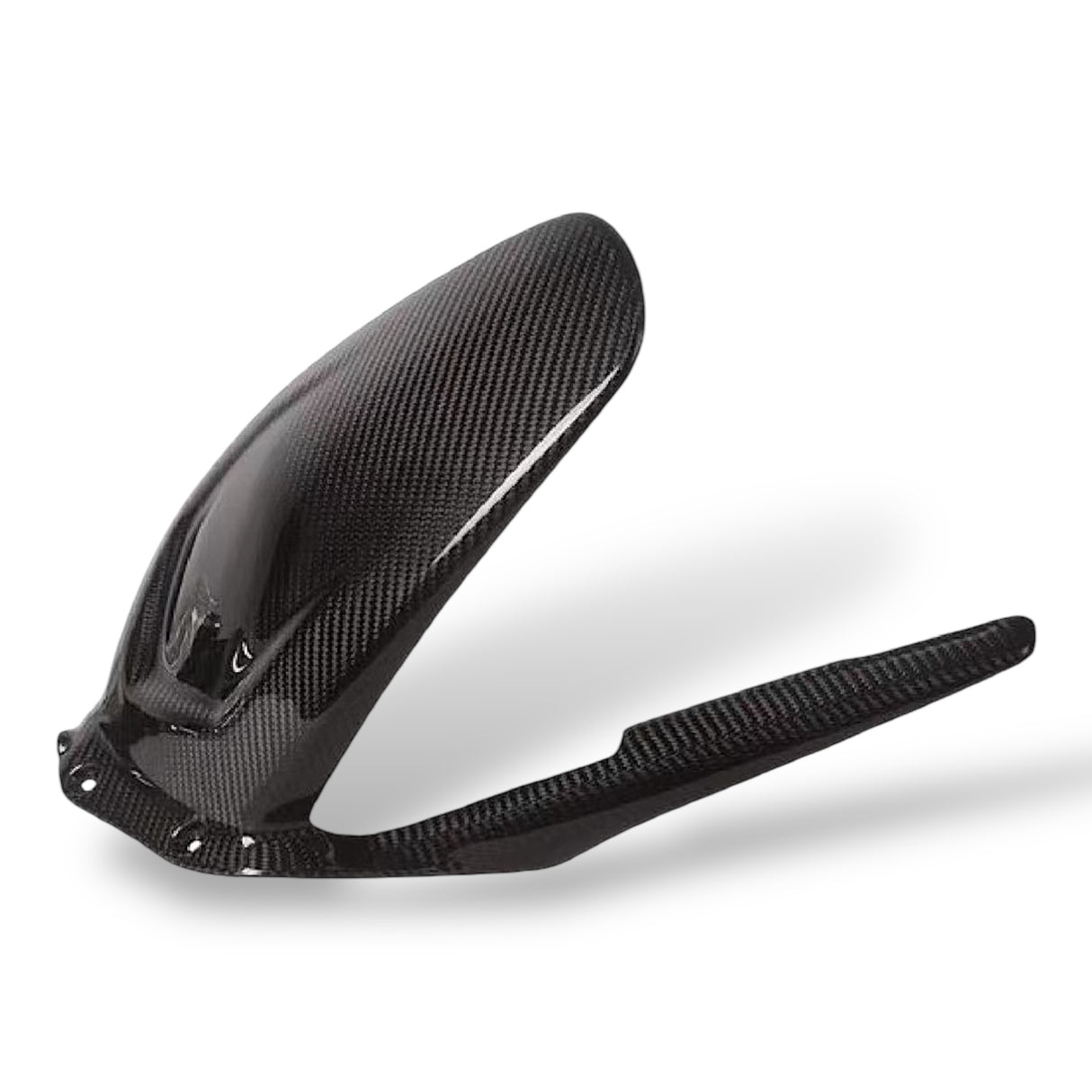 Rear wheel cover+chain guard Carbon Ducati Panigale V4 Streetfighter V4