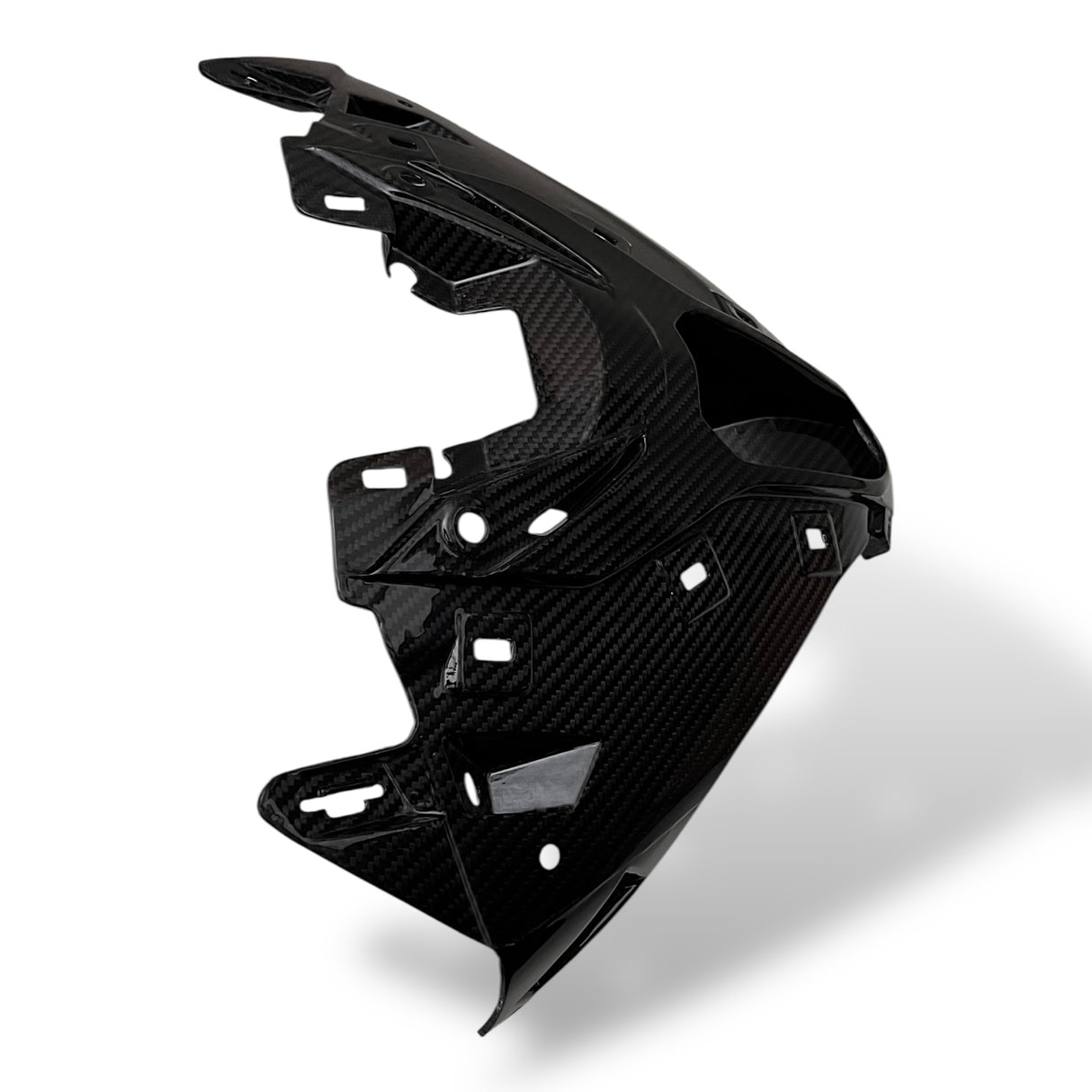 Fairing center section air intake carbon BMW S1000RR M1000RR 2019-2024