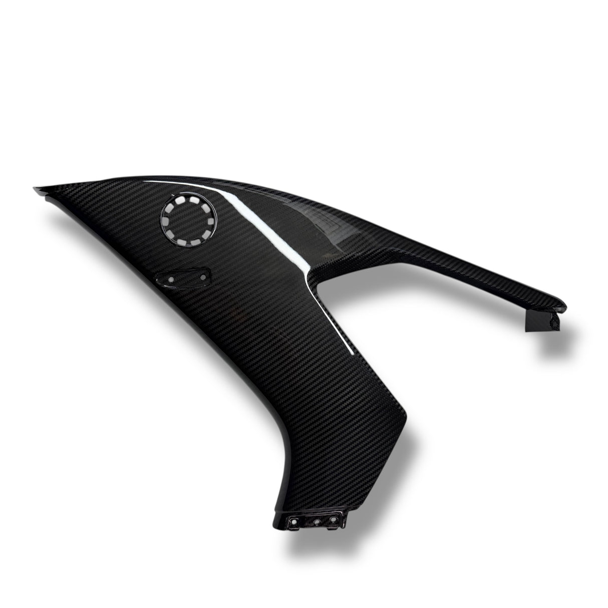 Side Panel Set L+R Carbon BMW M1000RR 2023+