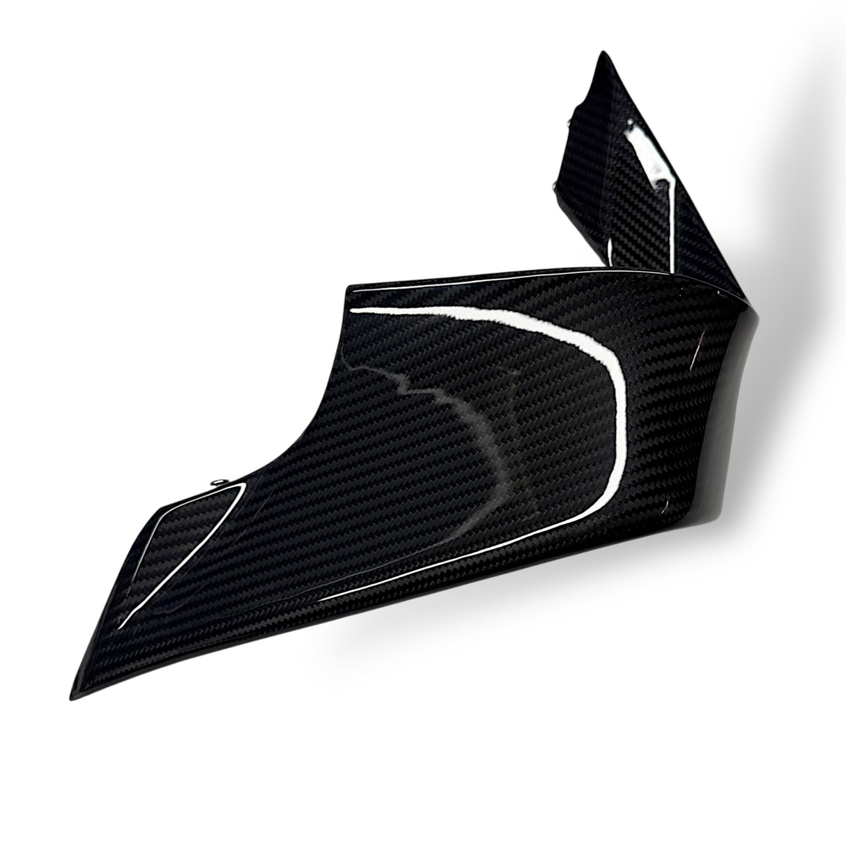 Winglets Carbon BMW M1000RR 2025+