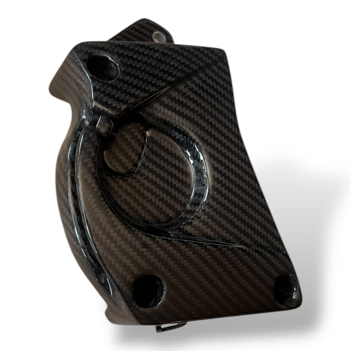 Ritzelabdeckung Carbon BMW S1000RR S1000R 2009-2014