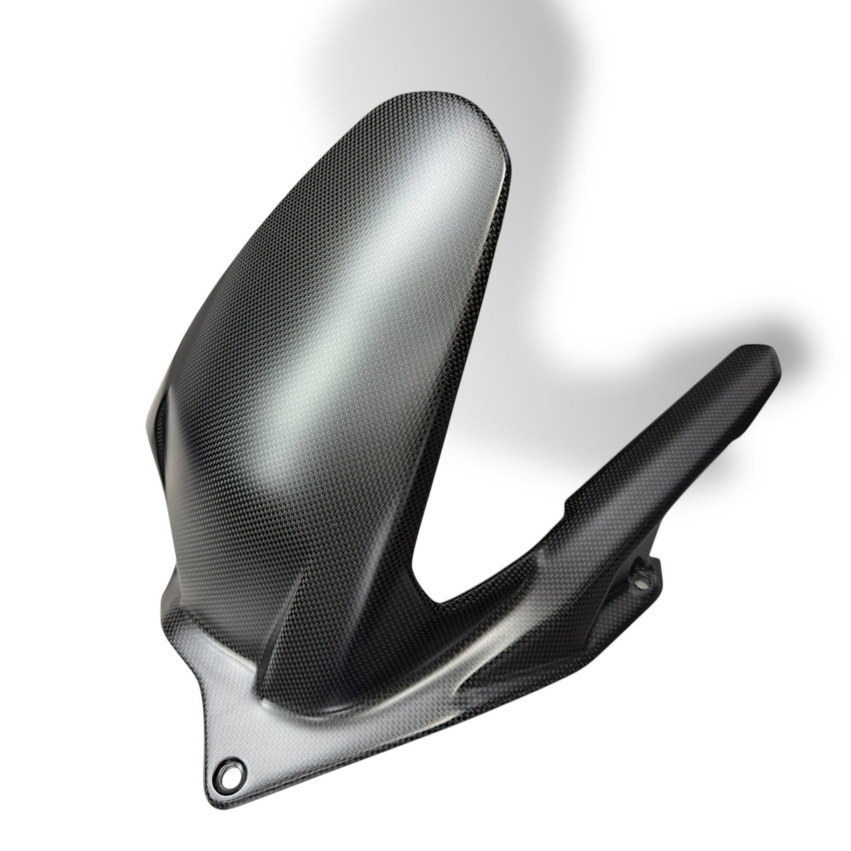 Hinterradabdeckung+Kettenschutz Carbon Ducati Panigale V4 Streetfighter V4 2025+