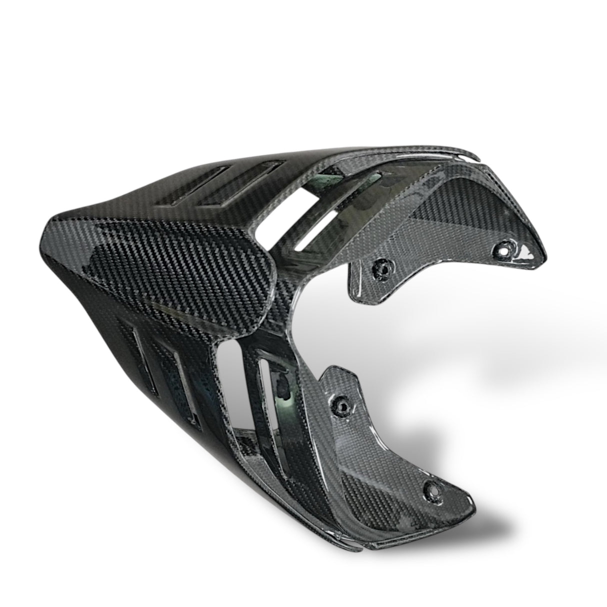 Rear Fairing Lower Part / Tail Fairing Carbon BMW S1000RR M1000RR 2023+