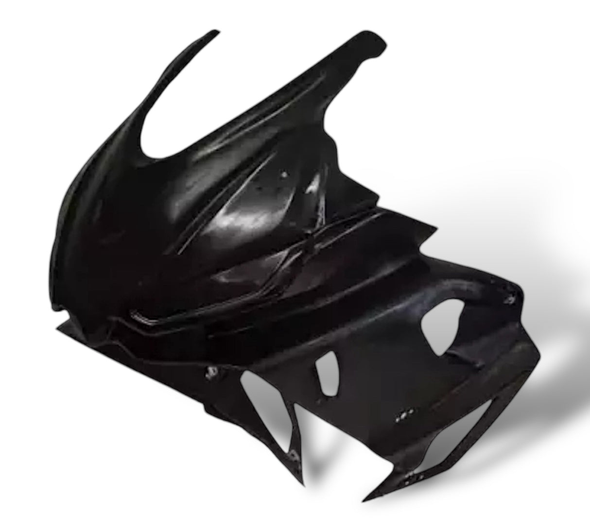 Racing fairing carbon BMW S1000RR M1000RR 2019-2024