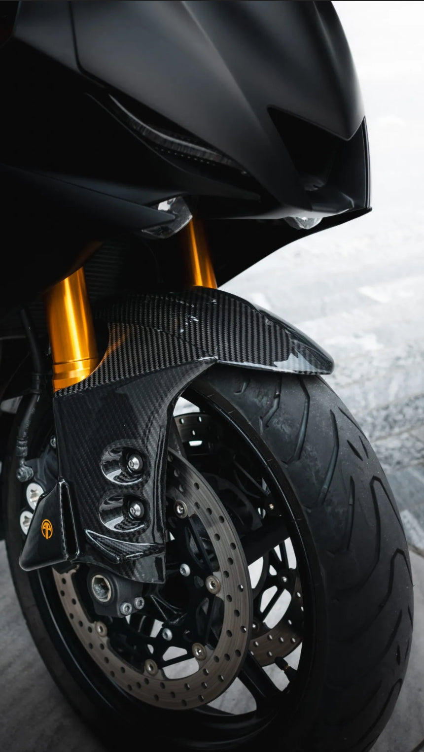 Front Fender Mudguard Carbon Ducati Panigale / Streetfighter V4 V2