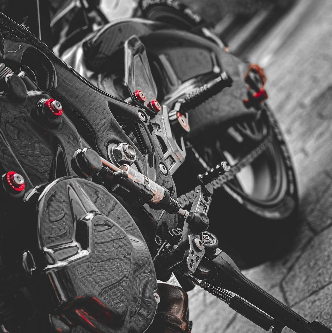 Motordeckelschutz Engine Protection Carbon BMW S1000RR 2009-2014