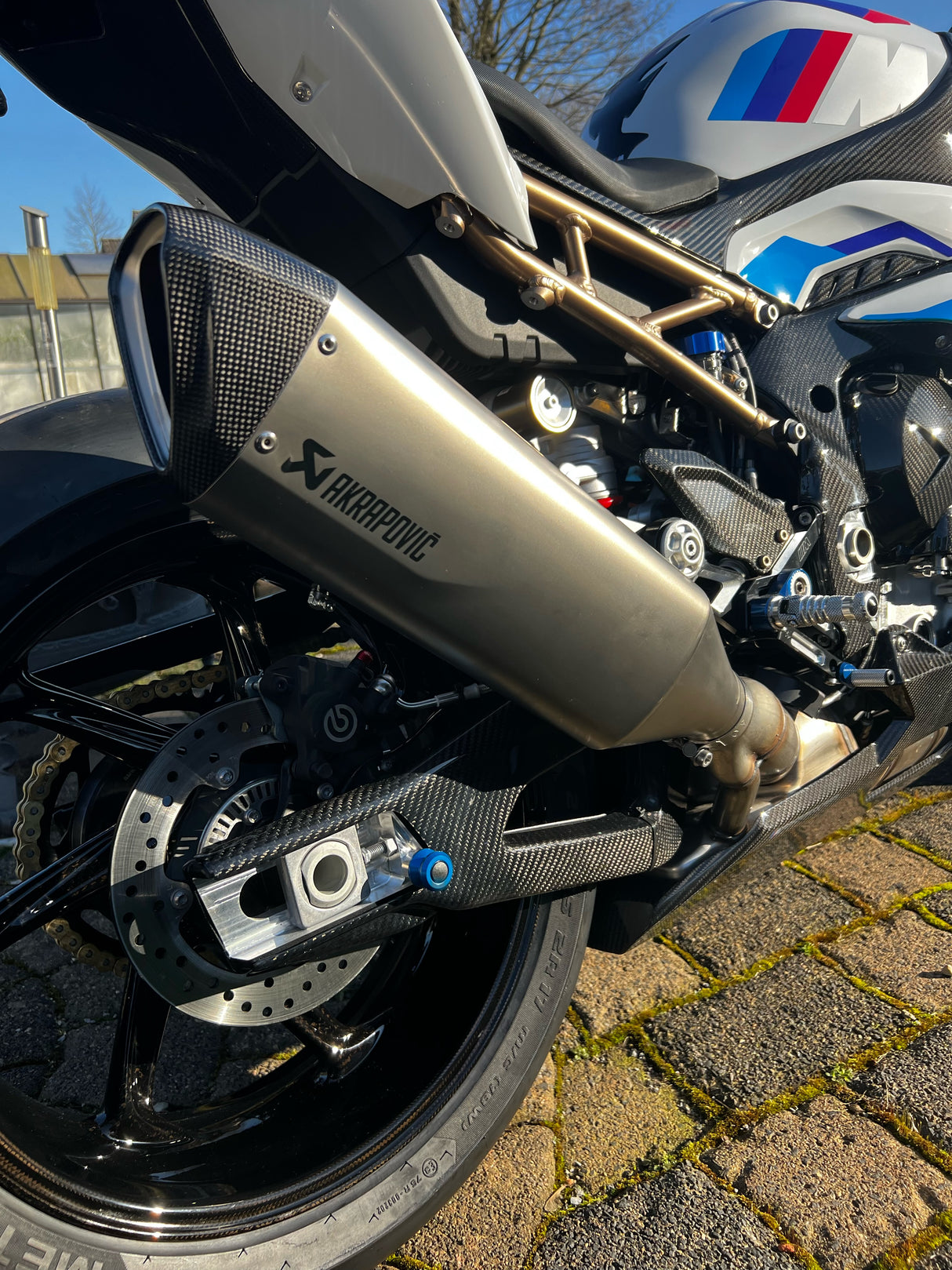 Swingarm protector Carbon BMW S1000RR M1000RR 2019-2024 / BMW S1000R 2021-2024