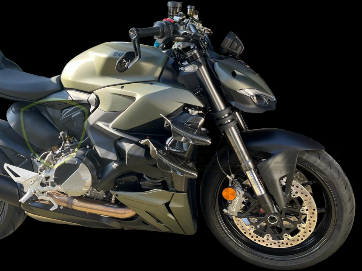 Winglets Carbon Ducati Streetfighter V4 V2 OEM Style unten