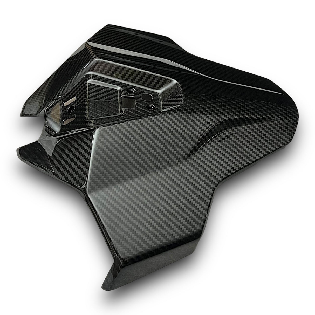 Soziusabdeckung / Tail Fairing Carbon BMW S1000RR M1000RR 2023+