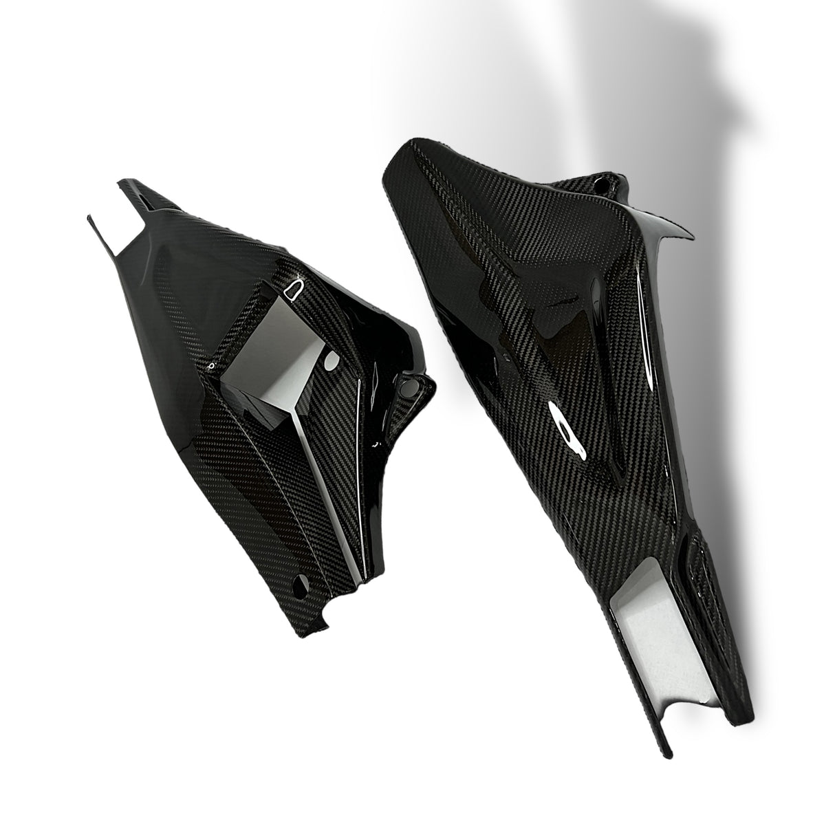 Swingarm protector Carbon BMW S1000RR M1000RR 2019-2024 / BMW S1000R 2021-2024