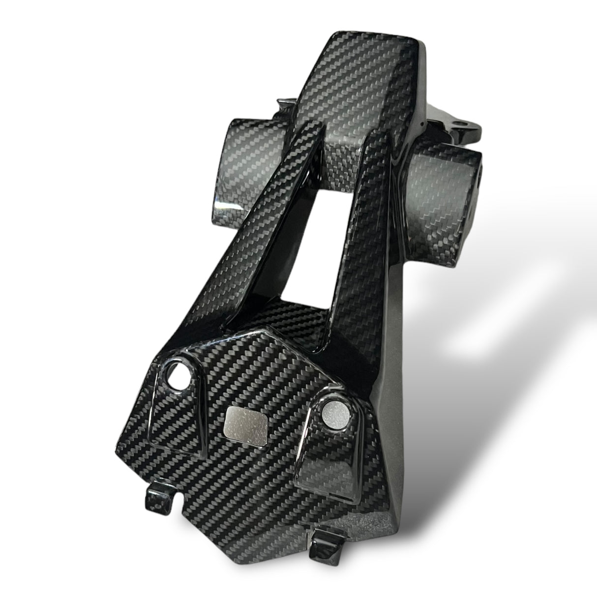 Kennzeichenhalter Carbon BMW S1000RR 2019+