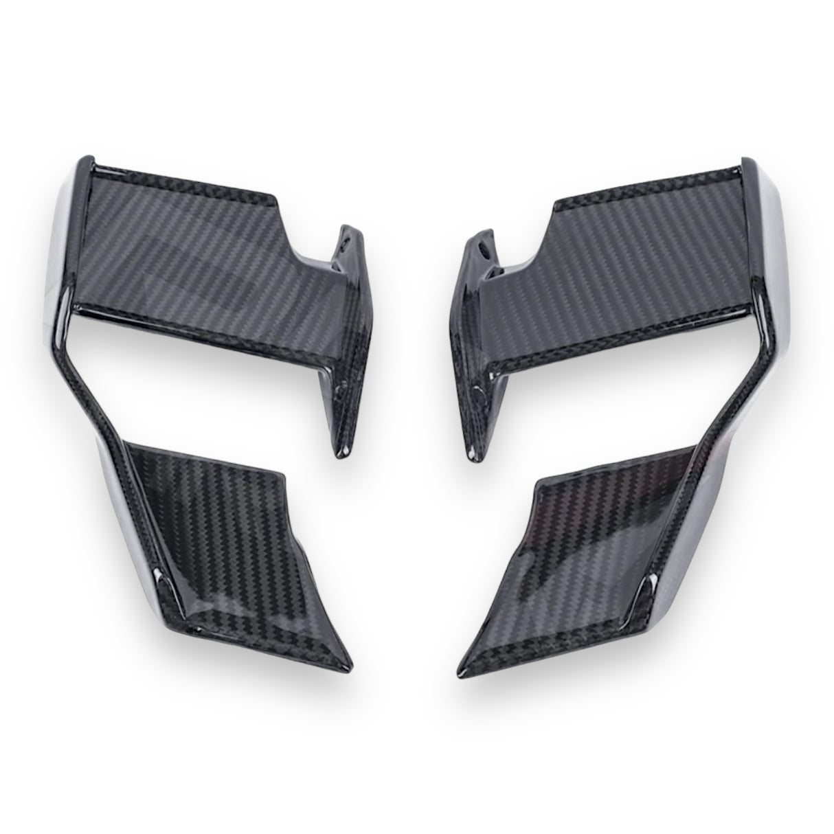 Winglets Carbon BMW S1000R M1000R 2021+ left+right Set