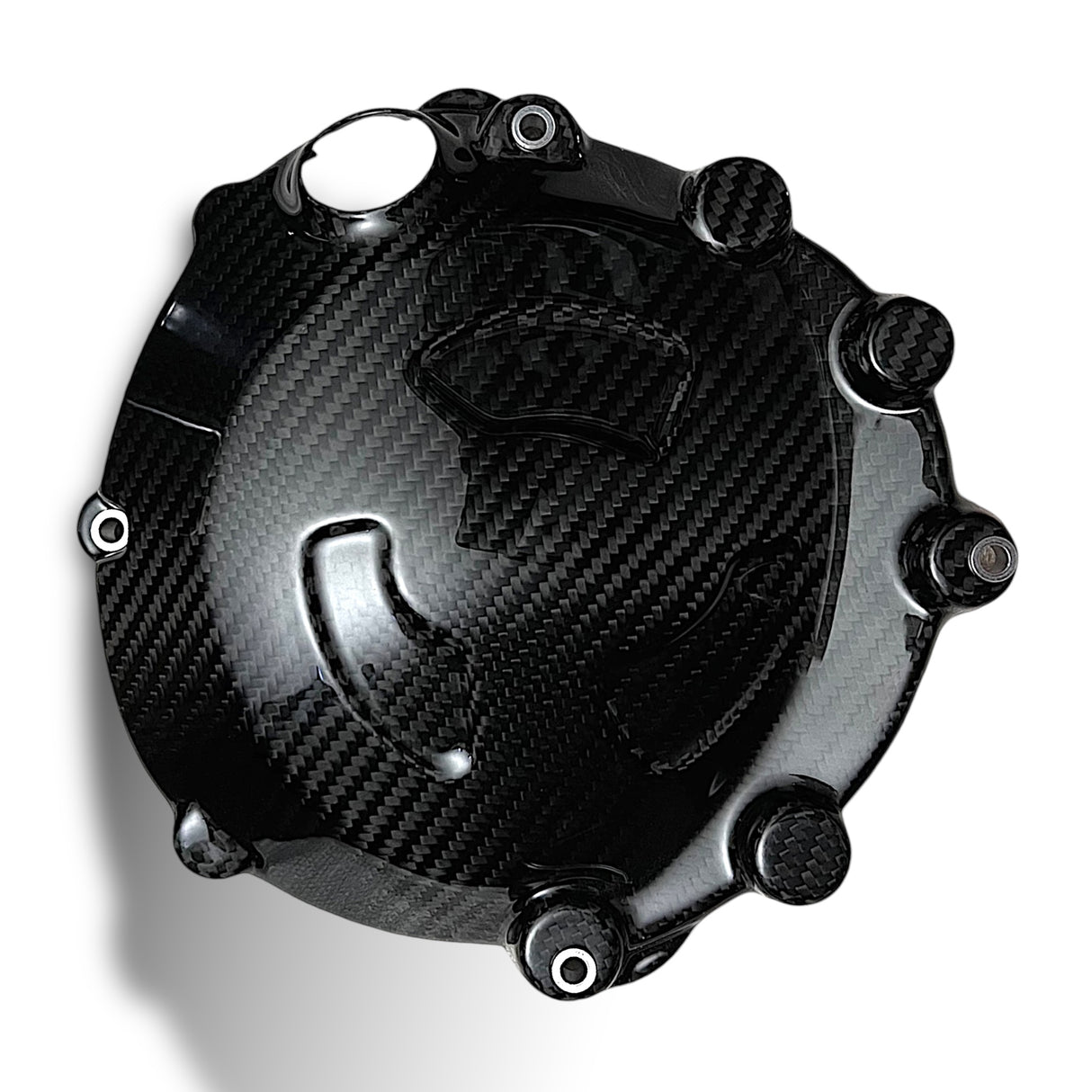 Motordeckelschutz für Lichtmaschinenabdeckung Carbon BMW S1000RR 2009-2014