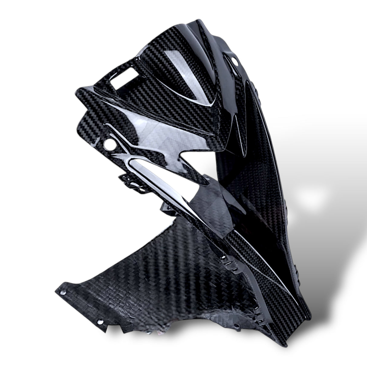 Fairing center section air intake carbon BMW S1000RR M1000RR 2019-2024