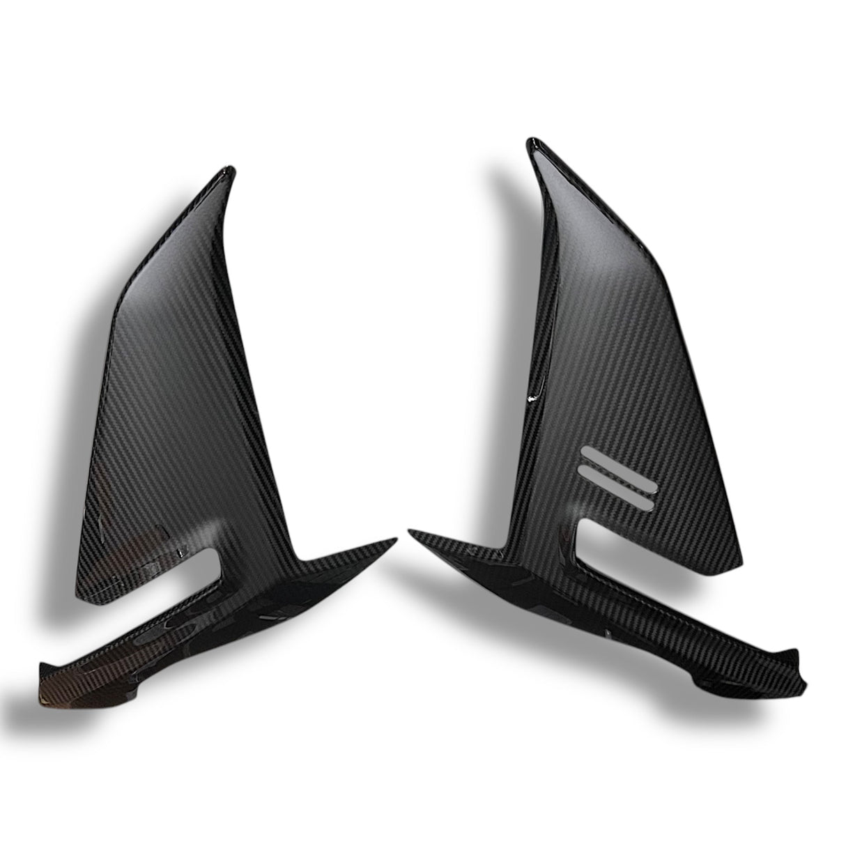 Side panel carbon BMW S1000RR M1000RR 2019-2022 Racing