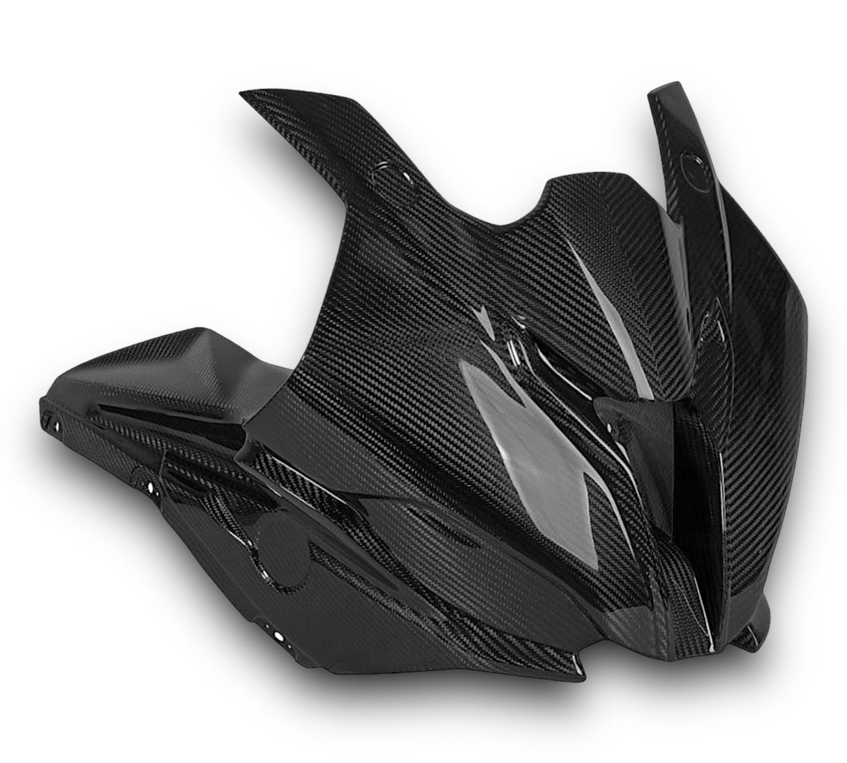 Racing fairing carbon BMW S1000RR M1000RR 2019-2024